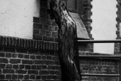 fotoshooting-hamburg121