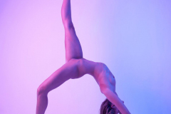 DSC08618a