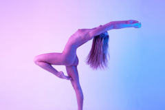 DSC08804a