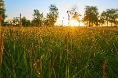 landschaft-3