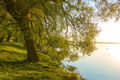 landschaft-5