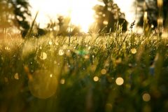 landschaft15
