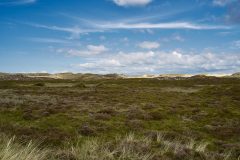 sylt01