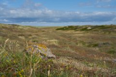 sylt04