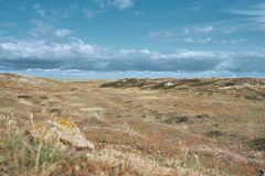 sylt05