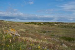 sylt06