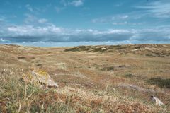 sylt07