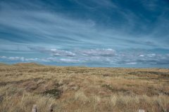 sylt13