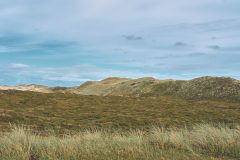 sylt14