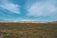 sylt15